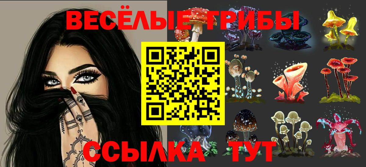 Советский  Псилоцибиновые грибы мицелий  Галлюциногенные грибы GOLDEN TEACHER  Вход с VPN 