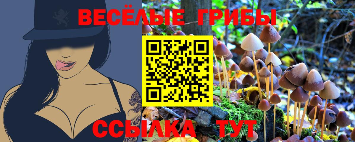 Галлюциногенные грибы Cubensis Советский