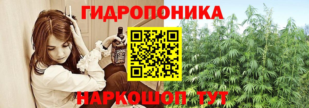 Бошки марихуана Ganja  Шишки марихуана план  Вход с VPN  Советский  Канабис конопля 
